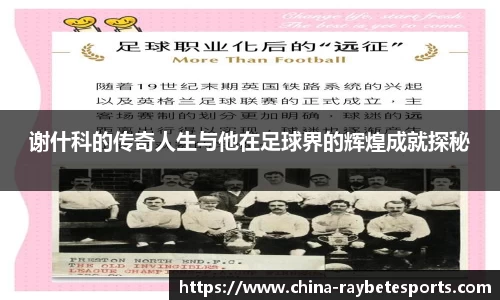 谢什科的传奇人生与他在足球界的辉煌成就探秘